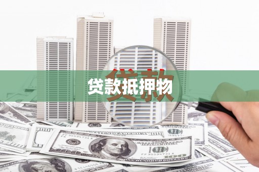 嘉模堂区贷款抵押物