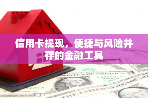 嘉模堂区信用卡提现，便捷与风险并存的金融工具
