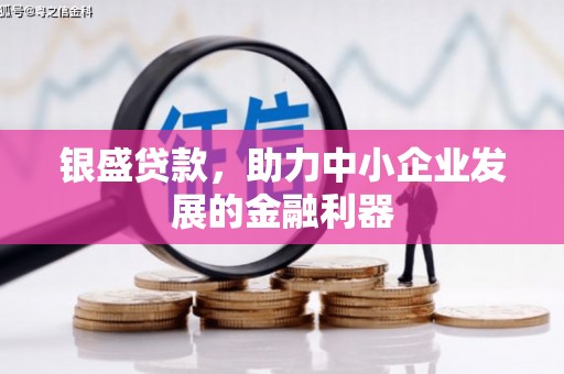 嘉模堂区银盛贷款，助力中小企业发展的金融利器