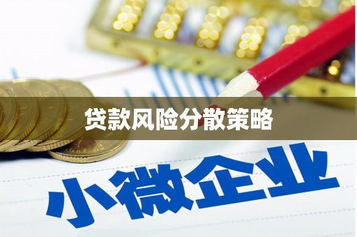 嘉模堂区贷款风险分散策略