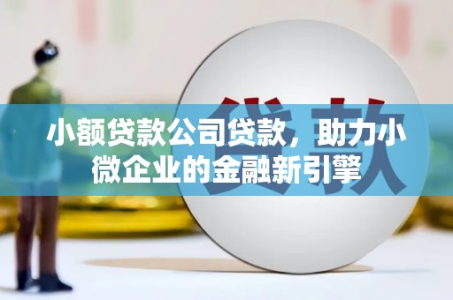 嘉模堂区小额贷款公司贷款，助力小微企业的金融新引擎