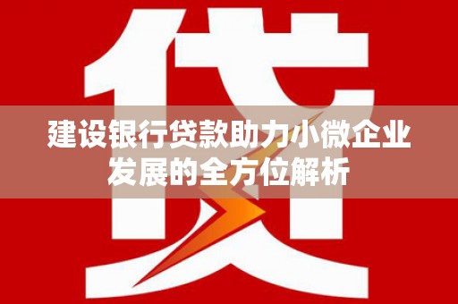 嘉模堂区建设银行贷款助力小微企业发展的全方位解析