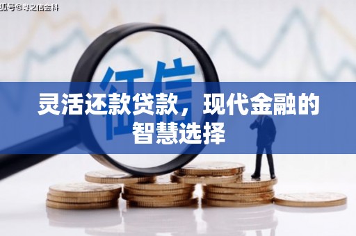 嘉模堂区灵活还款贷款，现代金融的智慧选择