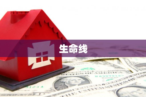 嘉模堂区生命线
