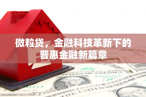 嘉模堂区微粒贷，金融科技革新下的普惠金融新篇章
