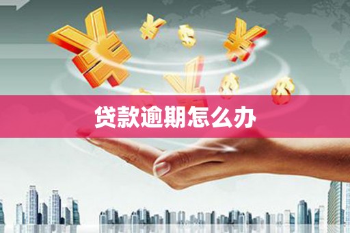嘉模堂区贷款逾期怎么办