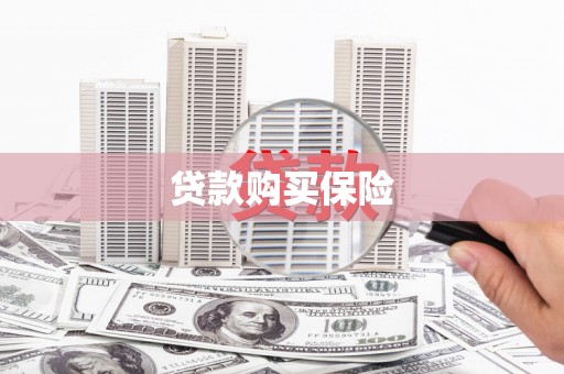 嘉模堂区贷款购买保险