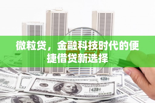 嘉模堂区微粒贷，金融科技时代的便捷借贷新选择