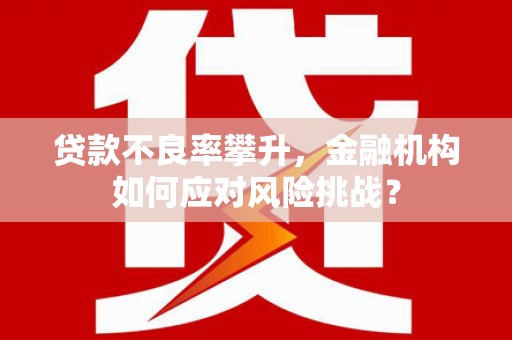嘉模堂区贷款不良率攀升，金融机构如何应对风险挑战？