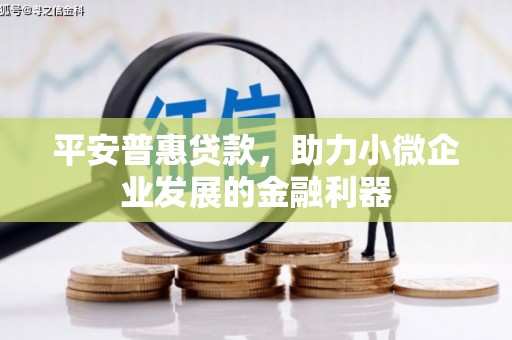 嘉模堂区平安普惠贷款，助力小微企业发展的金融利器