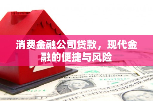 嘉模堂区消费金融公司贷款，现代金融的便捷与风险