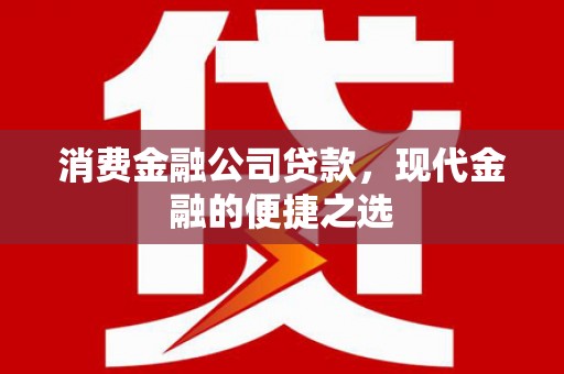 嘉模堂区消费金融公司贷款，现代金融的便捷之选
