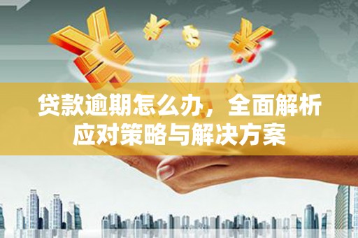 嘉模堂区贷款逾期怎么办，全面解析应对策略与解决方案