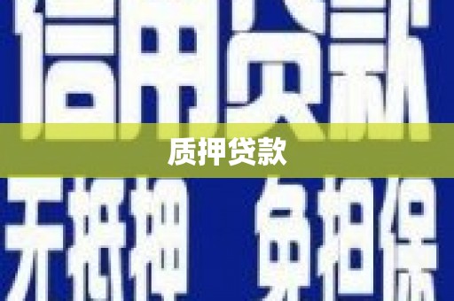 嘉模堂区质押贷款