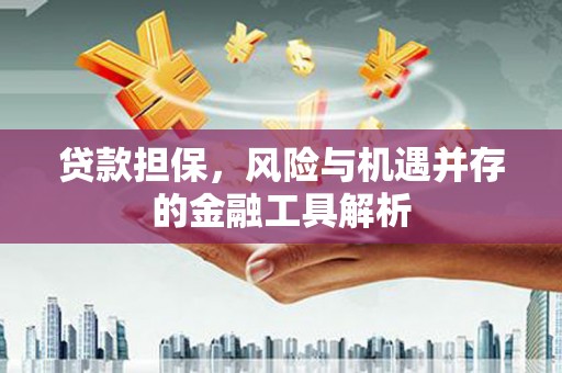 嘉模堂区贷款担保，风险与机遇并存的金融工具解析