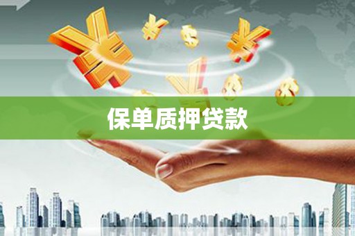 嘉模堂区保单质押贷款