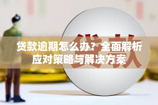嘉模堂区贷款逾期怎么办？全面解析应对策略与解决方案