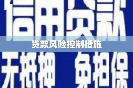 嘉模堂区贷款风险控制措施