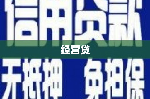 嘉模堂区经营贷