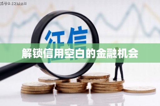 嘉模堂区解锁信用空白的金融机会