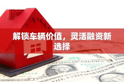 嘉模堂区解锁车辆价值，灵活融资新选择