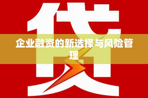 嘉模堂区企业融资的新选择与风险管理