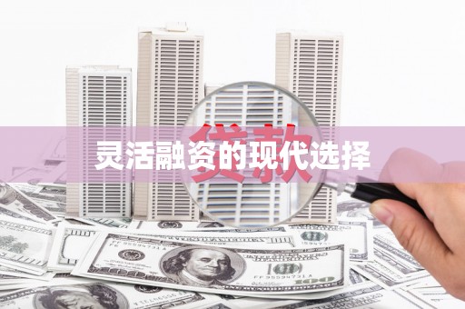 嘉模堂区灵活融资的现代选择