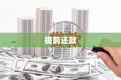 嘉模堂区提前还款