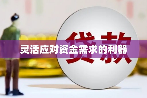 嘉模堂区灵活应对资金需求的利器