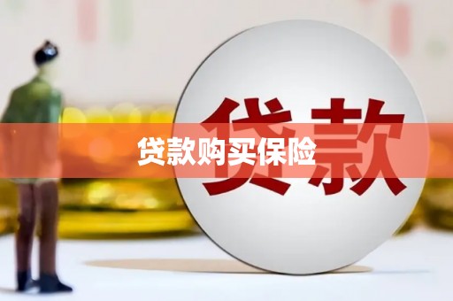 嘉模堂区贷款购买保险