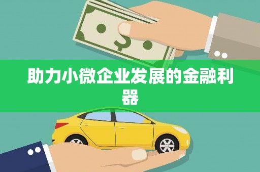 嘉模堂区助力小微企业发展的金融利器