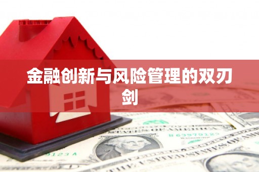 嘉模堂区金融创新与风险管理的双刃剑