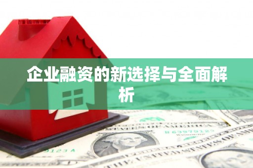 嘉模堂区企业融资的新选择与全面解析