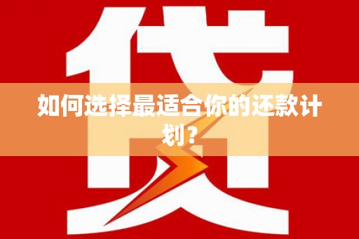 嘉模堂区如何选择最适合你的还款计划？