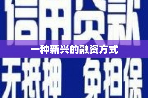 嘉模堂区一种新兴的融资方式