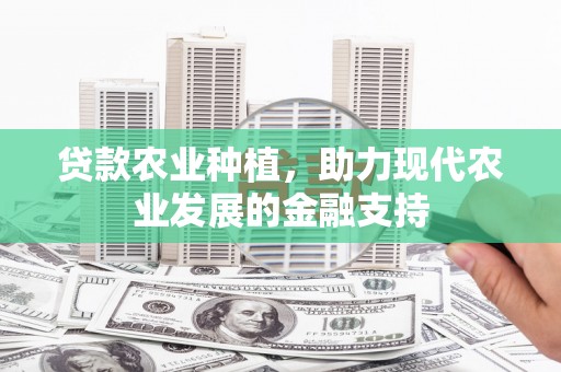 嘉模堂区贷款农业种植，助力现代农业发展的金融支持