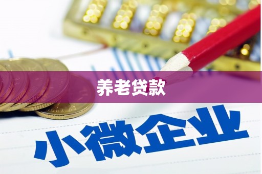 嘉模堂区养老贷款