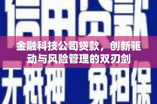 嘉模堂区金融科技公司贷款，创新驱动与风险管理的双刃剑